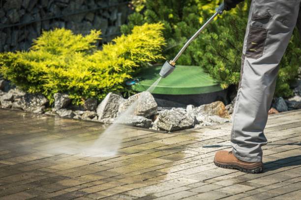 Professional Pressure Washing Services in Westmere, NY