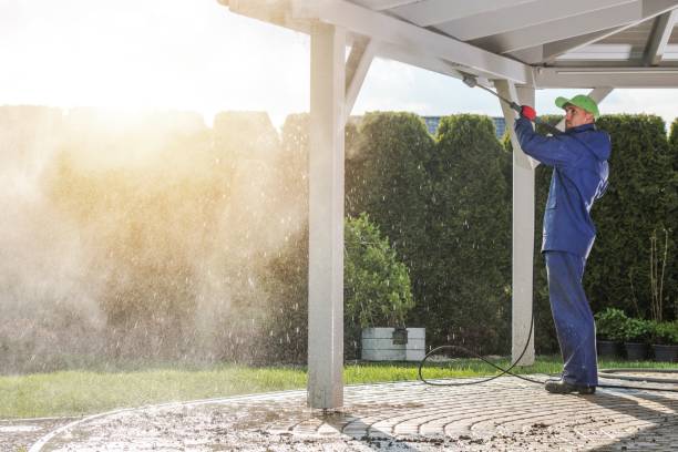 Best Graffiti Removal  in Westmere, NY