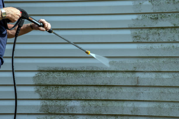 Best Building Exterior Washing  in Westmere, NY